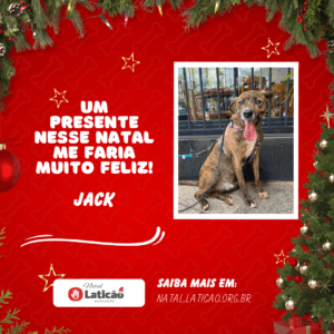 Jack