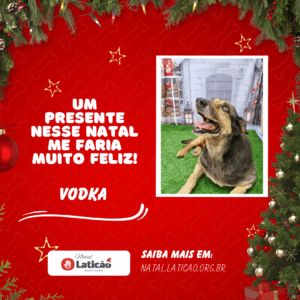 Vodka