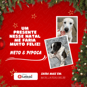 Neto e Pipoca