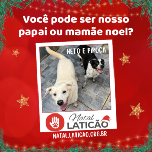 Neto e Pipoca