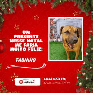 Fabinho