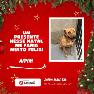Aipim