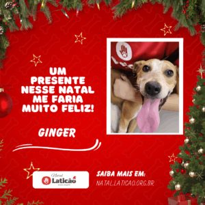 Ginger